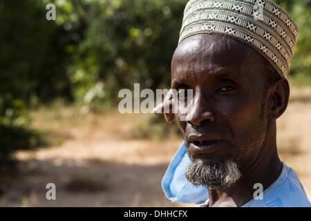 Kajuru, Nigeria. 31 ott 2013. Ritratto di MALAM GARBA, l'anziano di un piccolo villaggio Fulani. Fulanis sono tradizionalmente nomadi, immobilizzare i bovini, pecore e capre. Essi sono uno dei più grandi nomadi gruppi etnici nel mondo, diffondendo in diversi territori. Il Fulani seguono un codice di comportamento noto come Pulaaku, consistente della qualità di pazienza, di auto-controllo, la disciplina, la prudenza e la modestia, il rispetto per gli altri (compresi i nemici), saggezza, responsabilità personale, ospitalità, il coraggio e il duro lavoro. © Zsolt Repasy/ZUMAPRESS.com/Alamy Live News Foto Stock