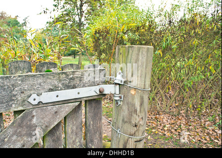 Porta vecchia in una zona rurale boschiva Foto Stock