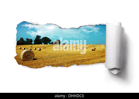 Presenza di frammenti di carta su un estate delle balle di fieno da paesaggio di campo Foto Stock