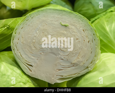 Cavolo sul display nel mercato degli agricoltori Foto Stock