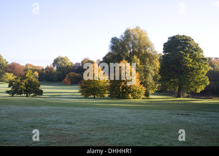 Alberi di autunno scena di paesaggio su Hampstead Heath Foto Stock