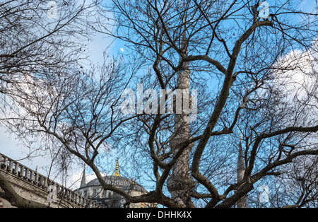 Istanbul, la vista della Moschea del Sultano Ahmed, (Moschea Blu) Foto Stock