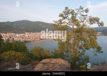 Pino (Pinus pinea), vista di Oezdere, Özdere, İzmir Provincia, Regione del Mar Egeo, Turchia Foto Stock