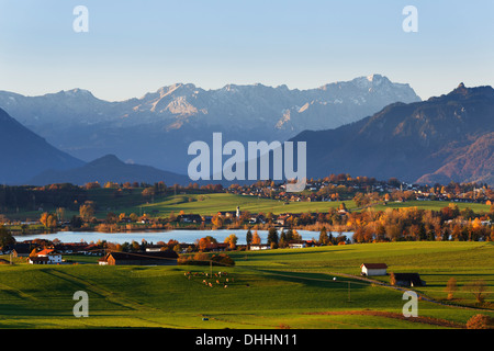 In autunno la mattina in sulle colline pedemontane delle Alpi, vista da Mt Aidlinger Hoehe attraverso il lago Riegsee, Froschhausen, Murnau ed il Foto Stock