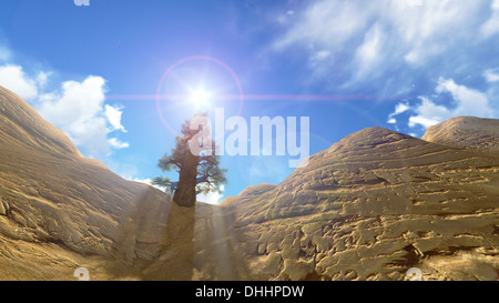 3D per il parco nazionale del Grand Canyon sul cielo blu Foto Stock