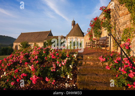Le rose nei giardini del castello di Haemelschenburg, chiesa St Mary, Emmerthal, Weser colline a nord della Bassa Sassonia, Germania, Europa Foto Stock