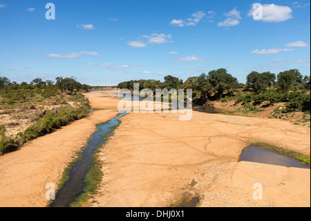 Ampio fiume secco nel Parco Nazionale di Kruger, Sud Africa Foto Stock