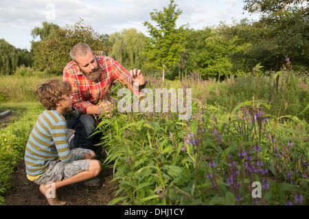 In azienda i figli adulti che lavorano insieme uomo giovane bambino guanti  da giardinaggio in piedi accanto al banco della pianticella di giovani  piante in Foto stock - Alamy