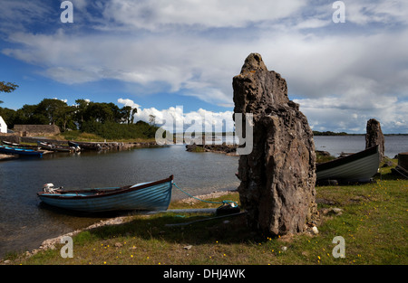 Inishmicatreer Isola del Lough Corrib, nella contea di Galway/Confine Mayo, Irlanda Foto Stock