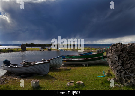 Inishmicatreer Isola del Lough Corrib, nella contea di Galway/Confine Mayo, Irlanda Foto Stock