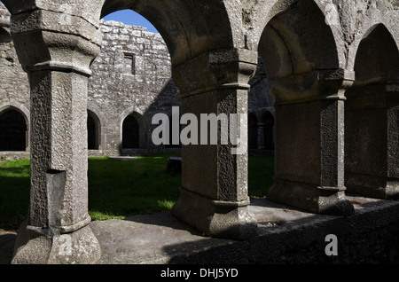 Chiostri in Ross Errilly convento francescano costruito 1351 ed abbandonato nel 1753, vicino Headford, nella contea di Galway, Irlanda Foto Stock