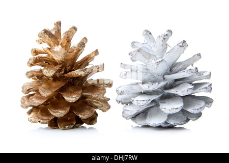 Coni di Pino marrone e argento con con isolati con sfondo bianco Foto Stock