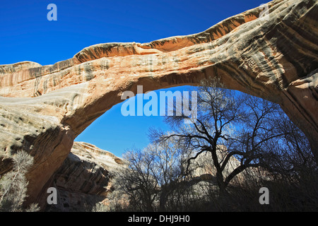 Sipapu Bridge, ponti naturali monumento nazionale, USA Utah Foto Stock