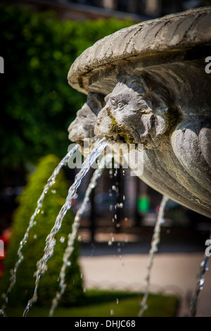 Teste di leone - dettagli fontana in Place des Vosges, Les Marais, Parigi Francia Foto Stock