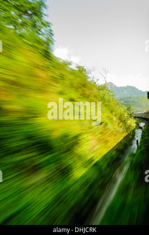 Vista attraverso il finestrino di un treno in movimento che passa attraverso la foresta Foto Stock