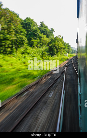 Vista attraverso il finestrino di un treno in movimento che passa attraverso la foresta Foto Stock