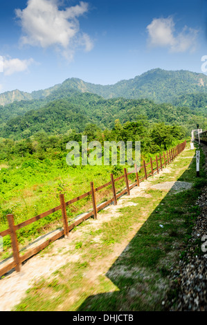 Vista attraverso il finestrino di un treno in movimento che passa attraverso la foresta Foto Stock