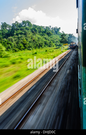 Vista attraverso il finestrino di un treno in movimento che passa attraverso la foresta Foto Stock