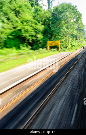 Vista attraverso il finestrino di un treno in movimento che passa attraverso la foresta Foto Stock