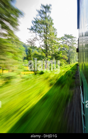 Vista attraverso il finestrino di un treno in movimento che passa attraverso la foresta Foto Stock