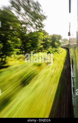 Vista attraverso il finestrino di un treno in movimento che passa attraverso la foresta Foto Stock