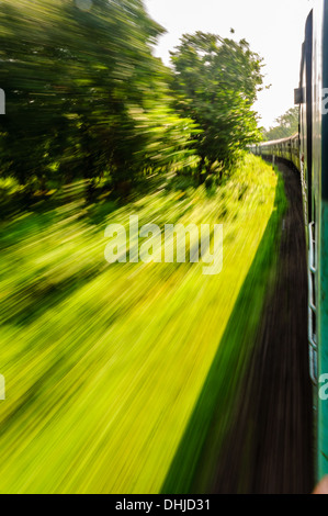 Vista attraverso il finestrino di un treno in movimento che passa attraverso la foresta Foto Stock