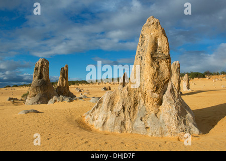 I pinnacoli, Nambung National Park, Australia occidentale Foto Stock