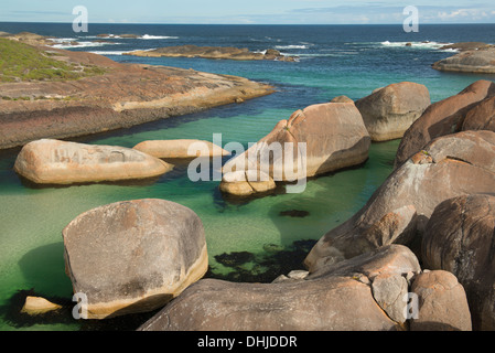 Elephant Rocks, William Bay National Park, Danimarca, Australia occidentale Foto Stock