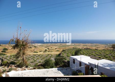 Cottage estivi sulla isola di Santorini (Grecia) Foto Stock