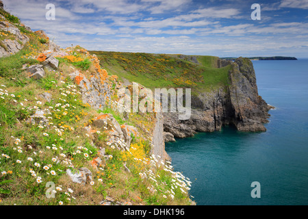 Lydstep nr Tenby Pembrokeshire Galles con isola di Caldey in background Foto Stock