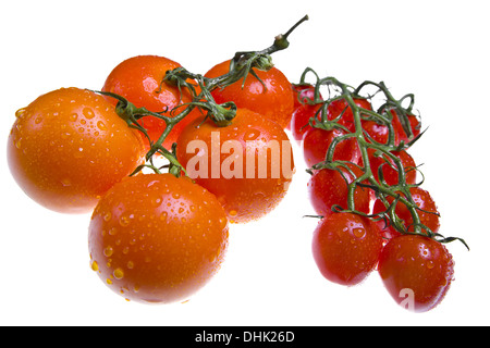 Pomodori sul ramo in gocce di acqua Foto Stock