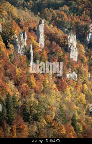 Rocce Knopfmacherfels presso il fiume Danubio in autunno, Donautal superiore intorno a Beuron, Landkreis Sigmaringen, Svevo, Baden-Wue Foto Stock