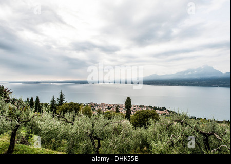 Vista verso Gardasee e la città di Torri del Benaco, Lago di Garda, provincia di Verona, Italia settentrionale, Italia Foto Stock