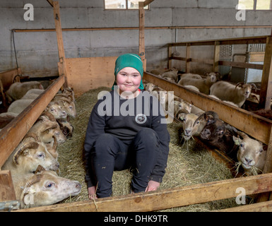 Ragazzo in fienile di pecora, orientale, Islanda Foto Stock