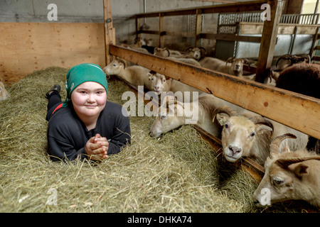 Ragazzo in fienile di pecora, orientale, Islanda Foto Stock