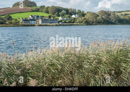 Slapton Ley Foto Stock