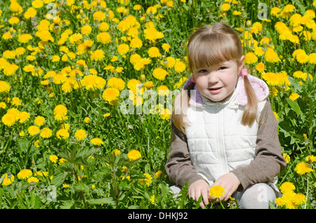 La piccola bella ragazza raccoglie il tarassaco Foto Stock