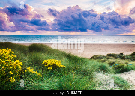 Un vento tempestoso, nel tardo pomeriggio a Woolacombe Sands nel Devon. Foto Stock