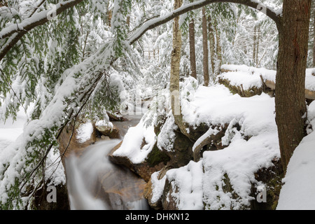 Il fiume Pemigewasset vicino al 'il bacino" area di visualizzazione a Lincoln, New Hampshire USA durante i mesi di autunno Foto Stock
