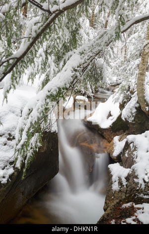 Il fiume Pemigewasset vicino al 'il bacino" area di visualizzazione a Lincoln, New Hampshire USA durante i mesi di autunno Foto Stock