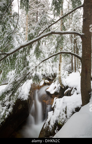 Il fiume Pemigewasset vicino al 'il bacino" area di visualizzazione a Lincoln, New Hampshire USA durante i mesi di autunno Foto Stock