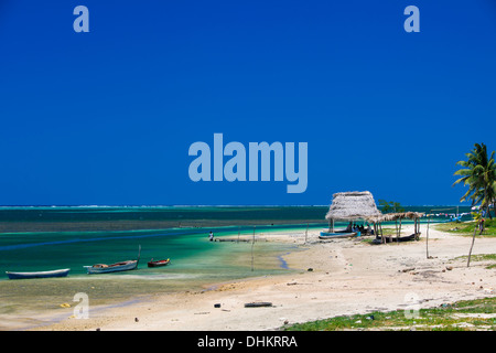 Spiaggia di Punta Gorda village Foto Stock