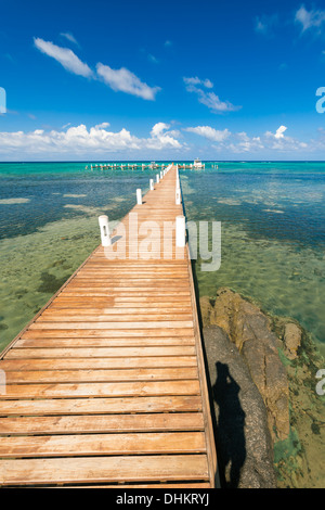 Dock si allunga in mare dei Caraibi Foto Stock