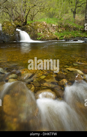 Una bassa piscina a tuffo e veloce che scorre acqua lungo Aira Beck con una piccola cascata in background Foto Stock