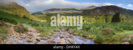 Un albero di mattina presto striature della luce attraverso il bordo del Llyn Dinas Foto Stock