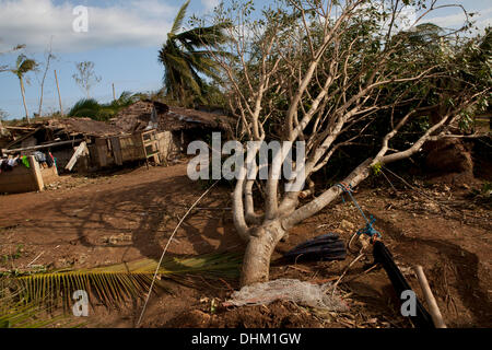 Daanbantayan, Cebu, Filippine. Decimo Nov, 2013. Lungo tutti i tifoni percorso distruttivo di migliaia di alberi sradicati. © Galleria immagini2/Alamy Live News Foto Stock