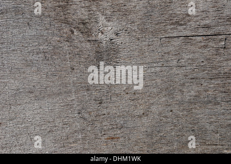 Struttura del compensato Foto Stock