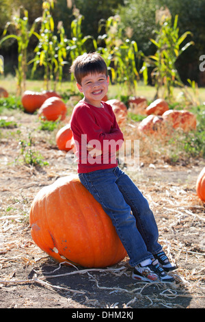 5 anno vecchio ragazzo seduto sulla zucca di grandi dimensioni Foto Stock