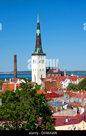 Cityscape foto scattata nella Città Vecchia di Tallinn, Estonia. Case con il tetto rosso e la chiesa di San Olaf in background. Foto Stock