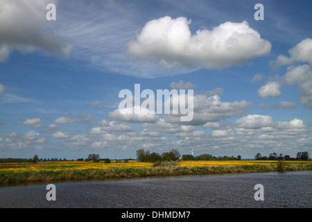 Molla in Frisia orientale Foto Stock